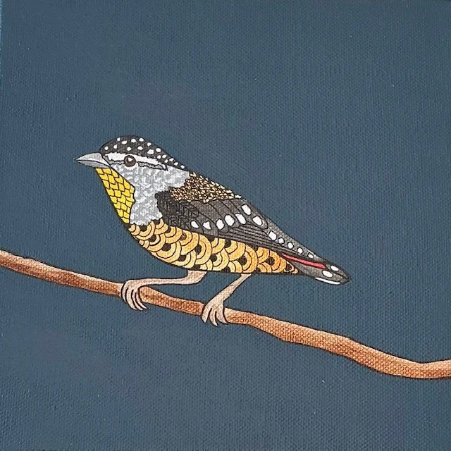 Spotted pardalote bird painting by Australian artist Vanessa Goess