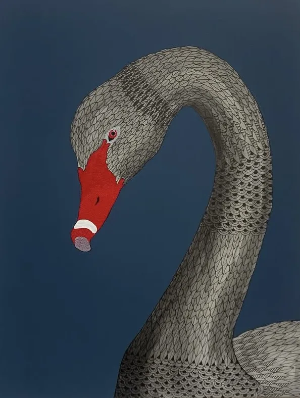 Detailed swan illustration by Australian artist Vanessa Goess